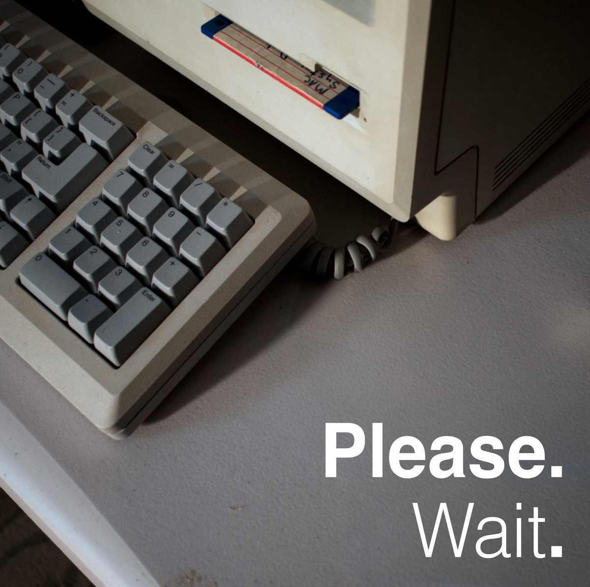 Please. Wait. cover