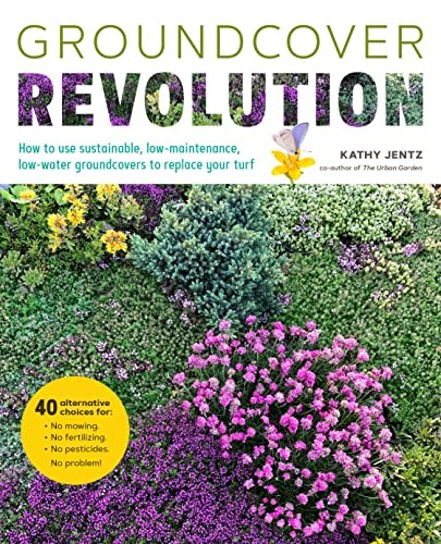 Groundcover Revolution: How to use sustainable, low-maintenance, cover