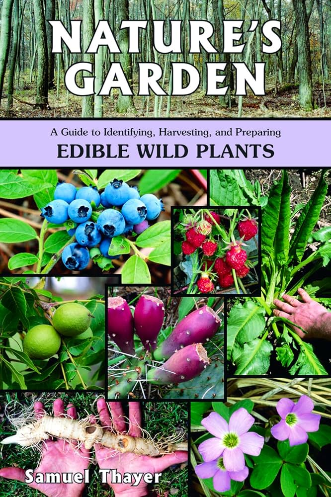 Nature's Garden: A Guide to Identifying, Harvesting, and Preparing cover