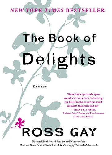 The Book Of Delights cover