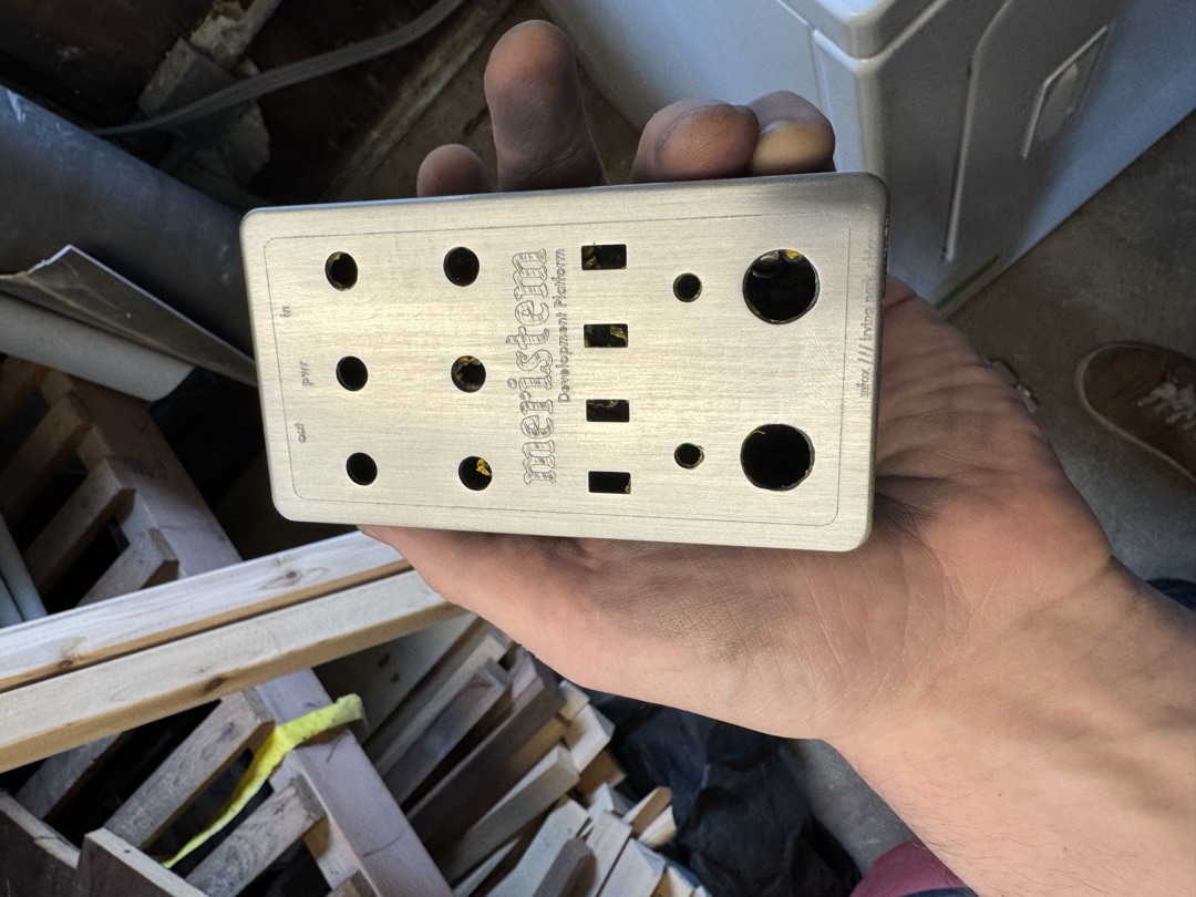 The finished Meristem pedal
