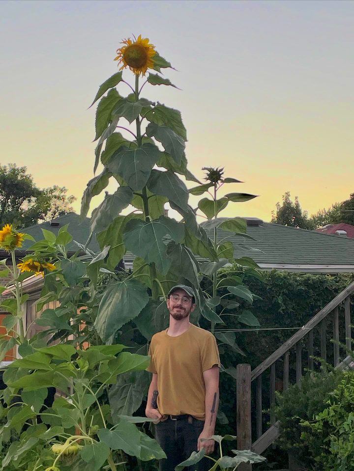 Mike standing at dusk in a backyard garden, beneath a sunflower more than twice his height